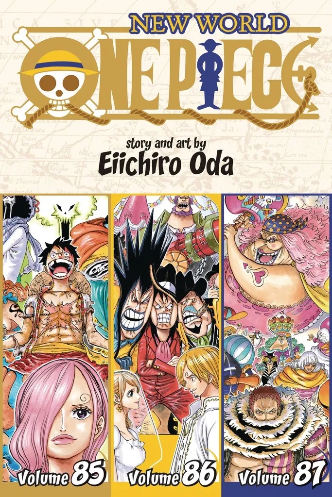 ONE PIECE 3IN1 29