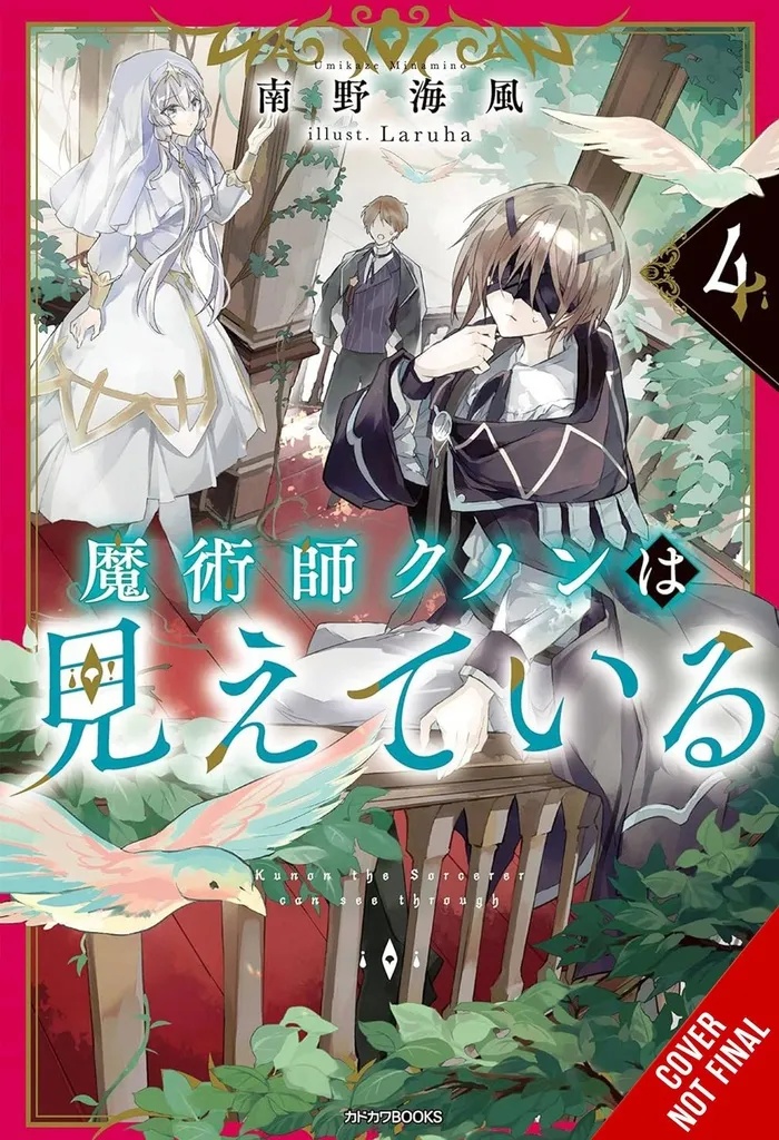KUNON SORCERER CAN SEE THROUGH LIGHT NOVEL 4