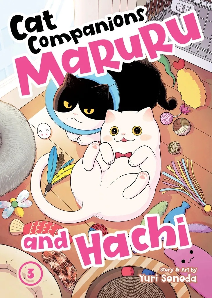 CAT COMPANIONS MARURU & HACHI 3