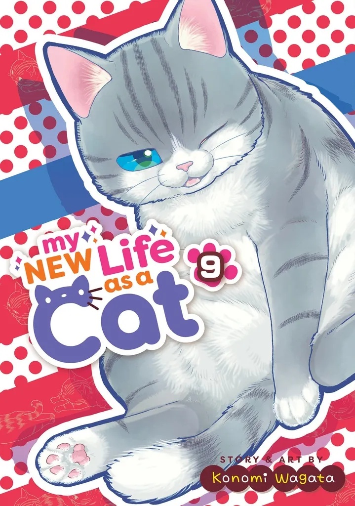 MY NEW LIFE AS A CAT 9
