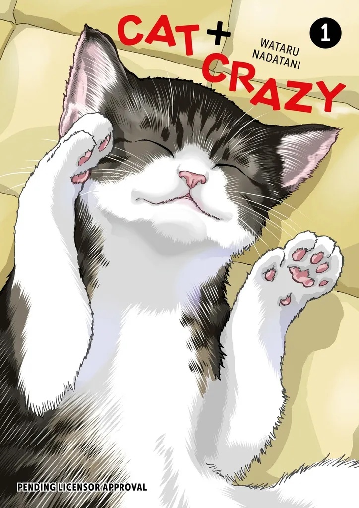 CAT CRAZY 1