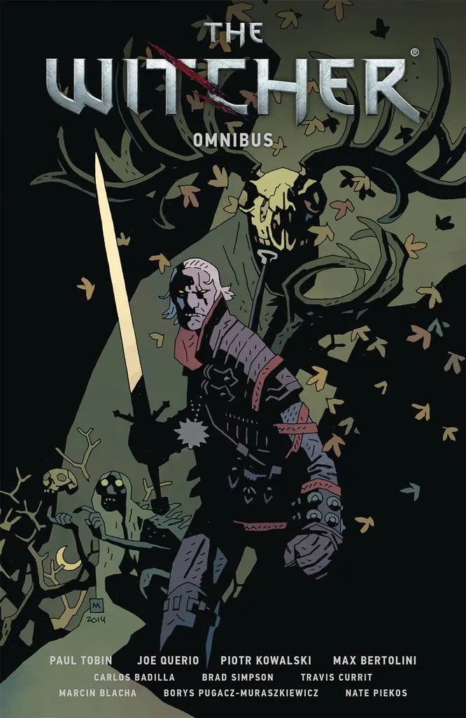 WITCHER OMNIBUS 1