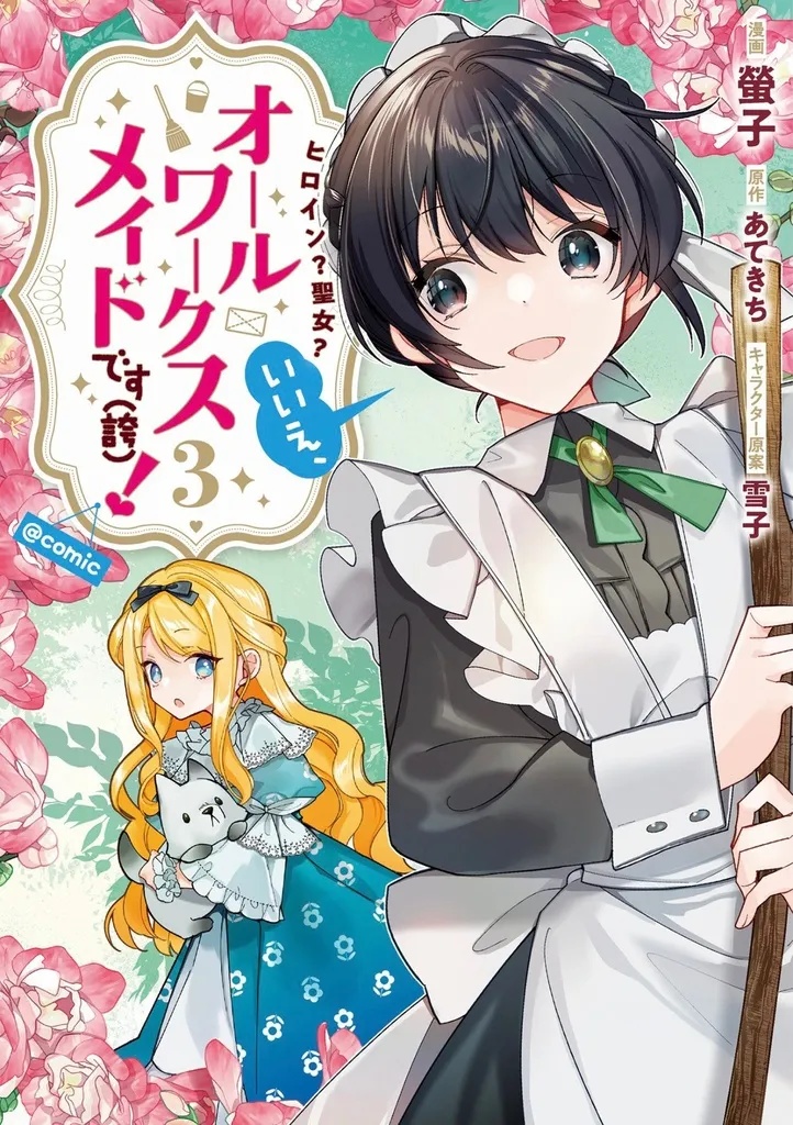 HEROINE SAINT IM AN ALL WORKS MAID 3
