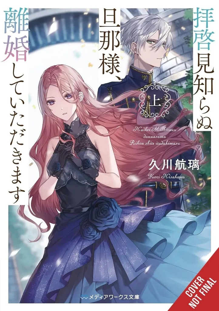 TO SIR WITHOUT LOVE IM DIVORCING YOU LIGHT NOVEL