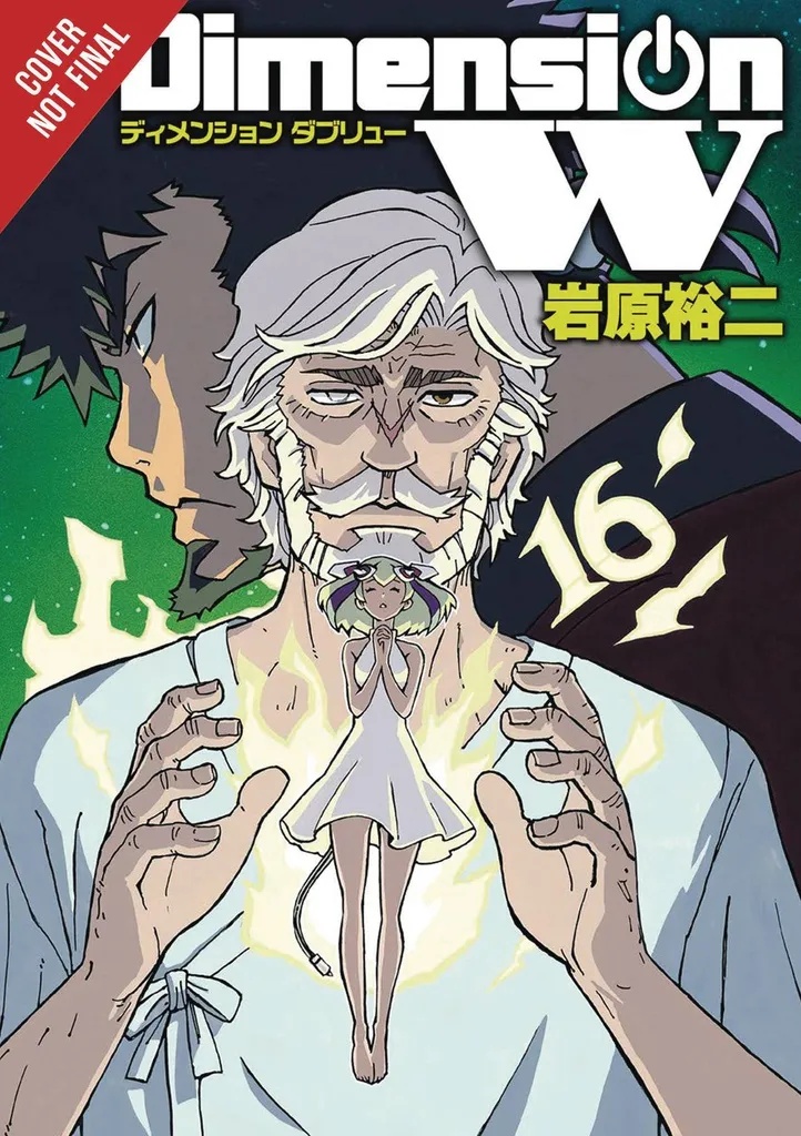 DIMENSION W 16