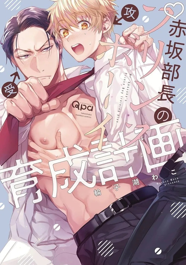 DIRECTOR AKASAKAS PRINCELY TRAINING COURSE