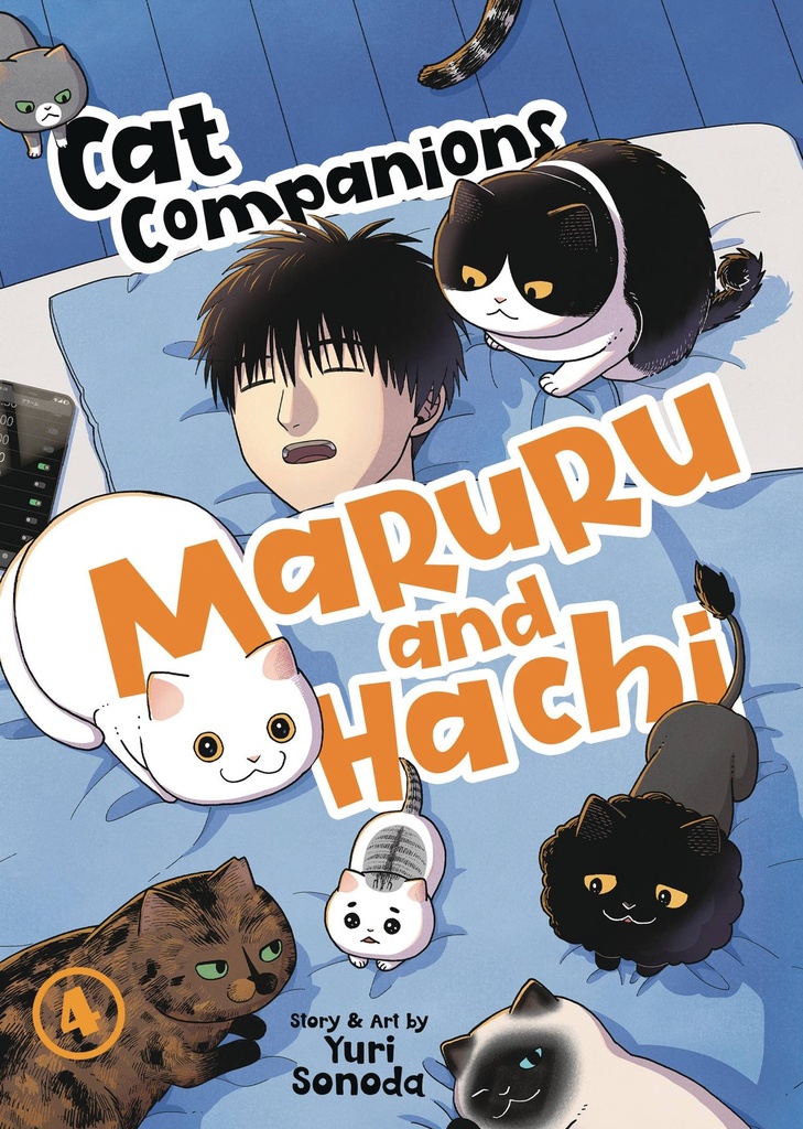 CAT COMPANIONS MARURU & HACHI 4
