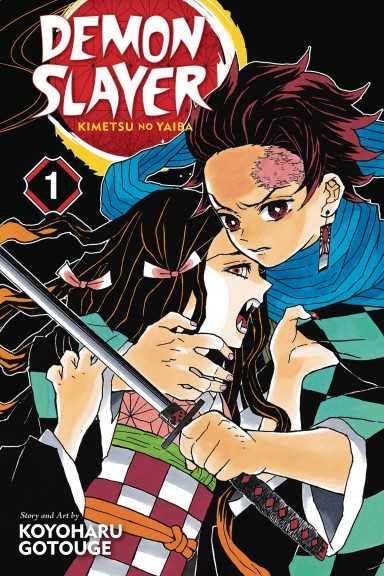Demon Slayer NL 1 Kimetsu no Yaiba