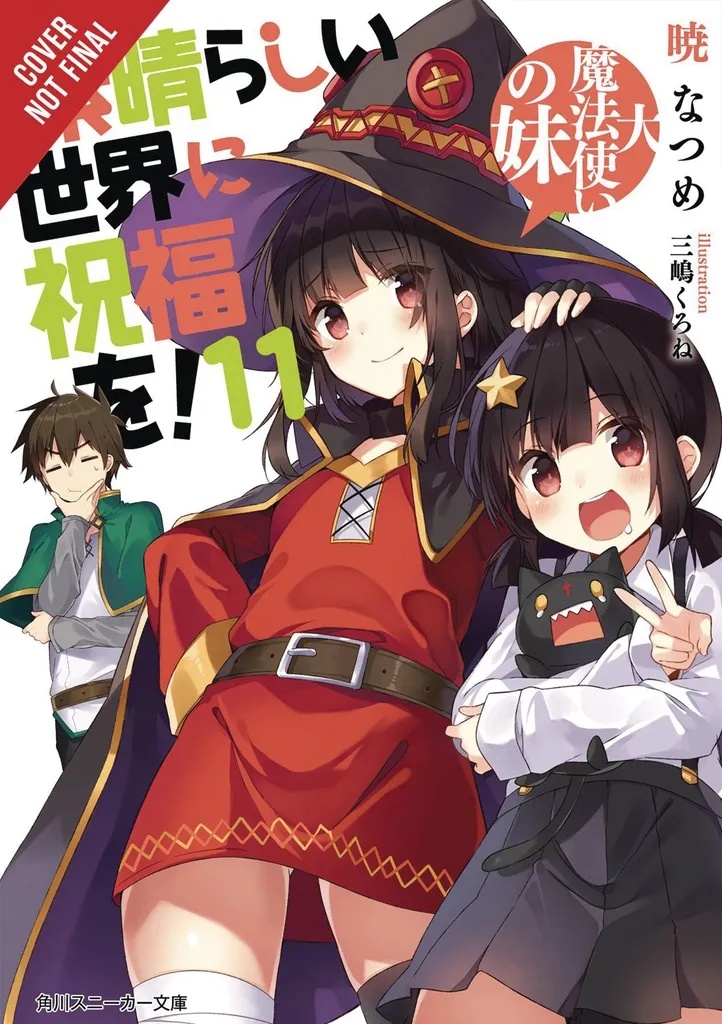 KONOSUBA GOD BLESSING ON THIS WONDERFUL WORLD LIGHT NOVEL 11
