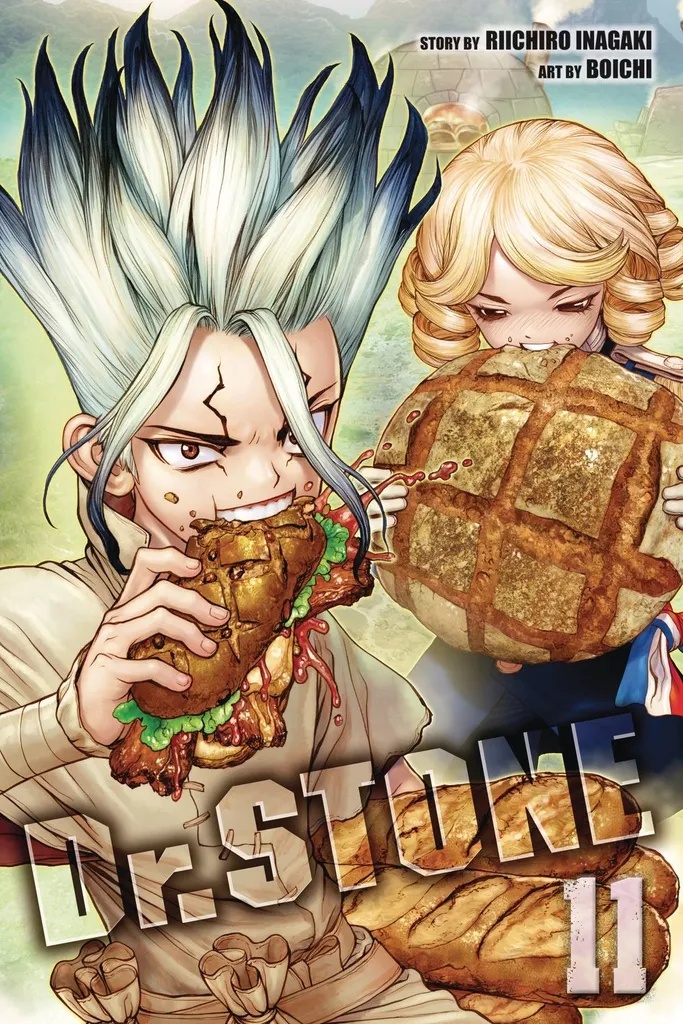 DR STONE 11