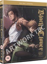 [5022366616249] BLACK CLOVER Season 1 Collection Blu-ray