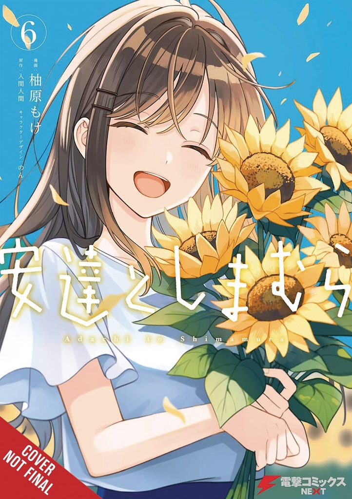 ADACHI AND SHIMAMURA 6