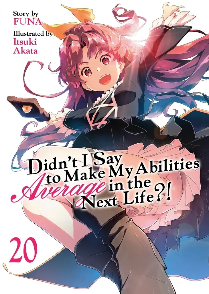DIDN'T I SAY TO MAKE MY ABILITIES AVERAGE IN THE NEXT LIFE?! (LIGHT NOVEL) 20