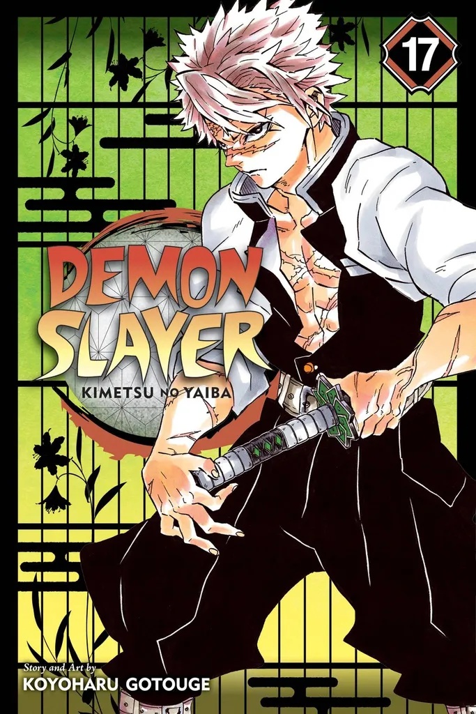 DEMON SLAYER KIMETSU NO YAIBA 17