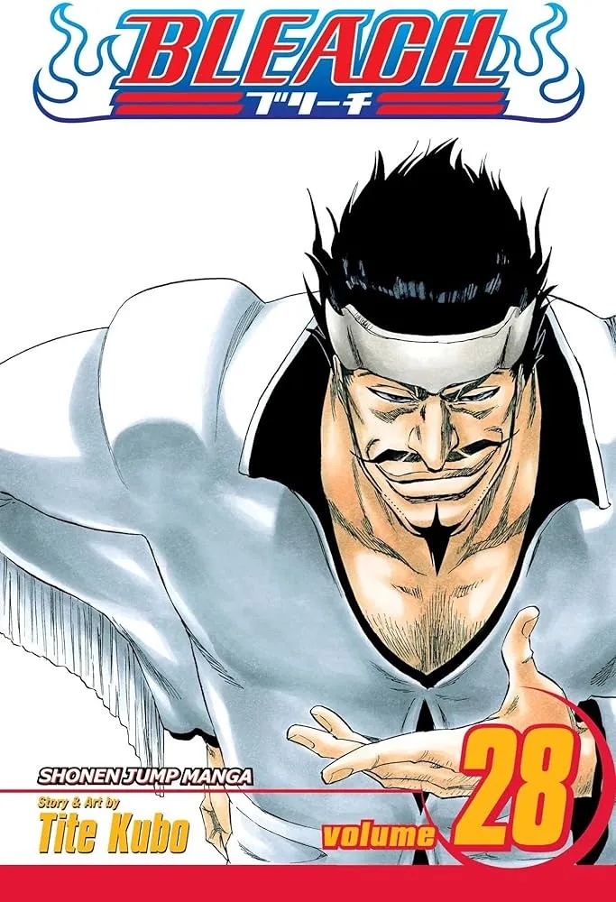 BLEACH 28