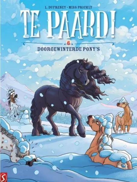 Te paard! 6 Doorgewinterde Pony's