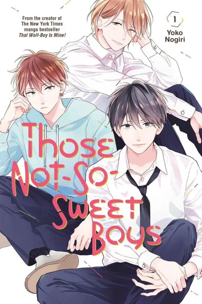 THOSE NOT SO SWEET BOYS