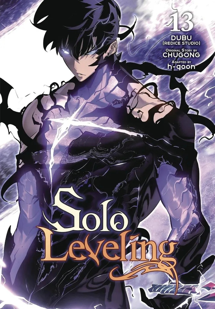 SOLO LEVELING 14