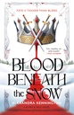 [9780593820131] BLOOD & SOULS DUOLOGY 1 BLOOD BENEATH THE SNOW