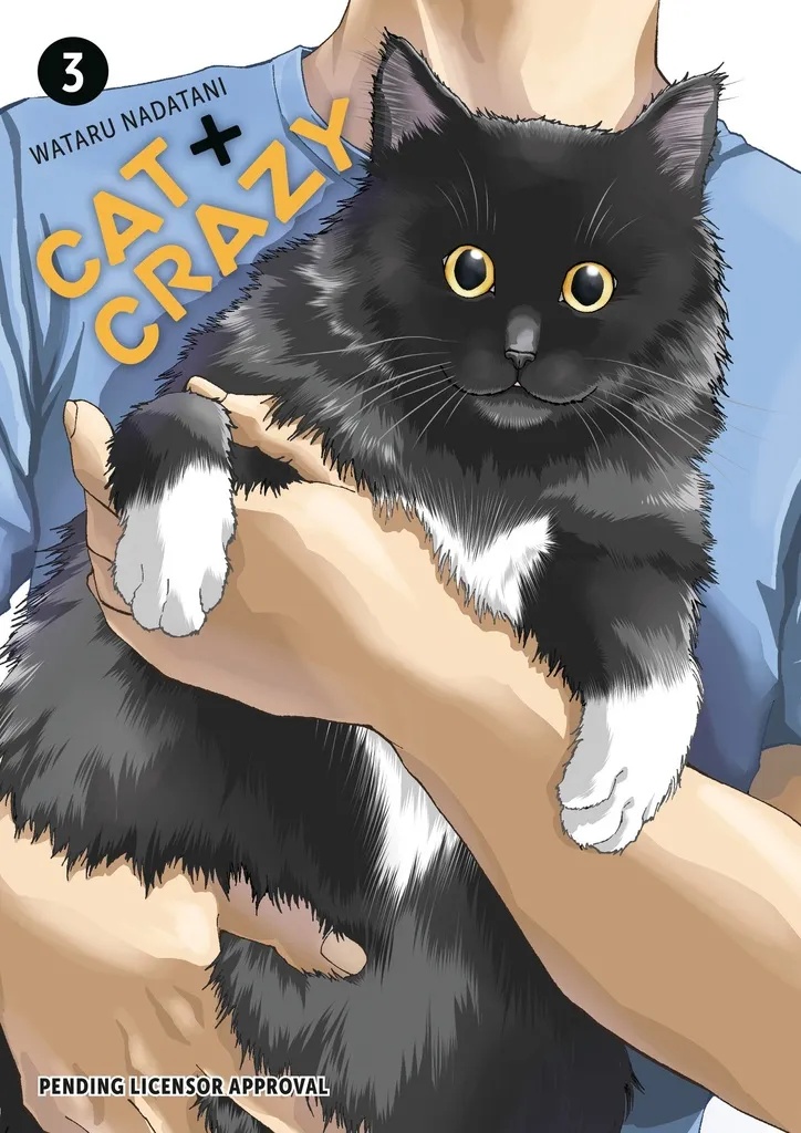 CAT + CRAZY 3