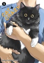 [9781506747101] CAT + CRAZY 3