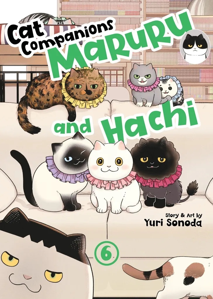 CAT COMPANIONS MARURU & HACHI 6