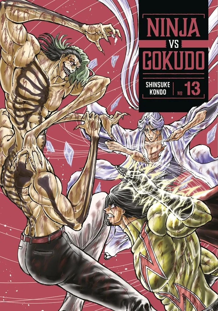 NINJA VS. GOKUDO 13