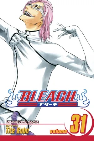 BLEACH 31