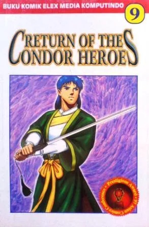 RETURN OF THE CONDOR HEROES 9 BEWILDERMENT