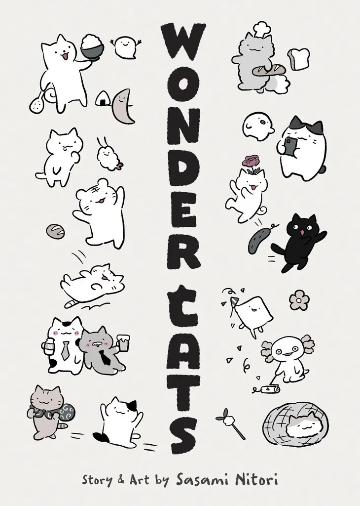 WONDER CATS