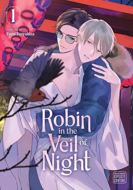ROBIN IN THE VEIL OF NIGHT 1