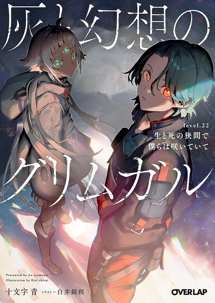 GRIMGAR OF FANTASY & ASH 22 (LIGHT NOVEL