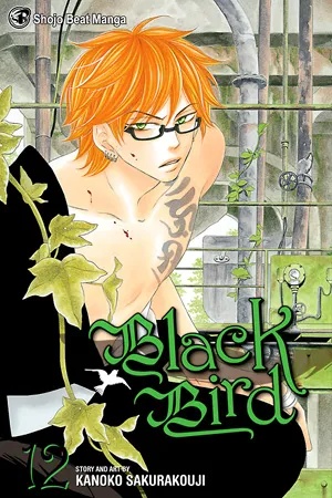 BLACK BIRD 12