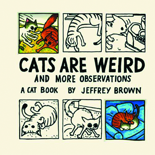 CATS ARE WEIRD & MORE OBSERVATIONS