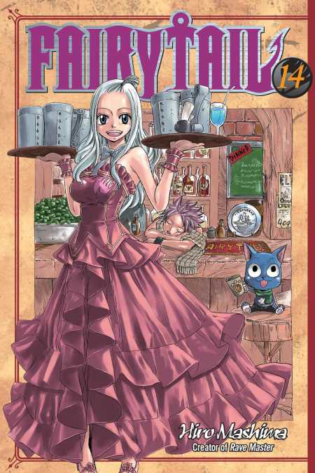 FAIRY TAIL 14