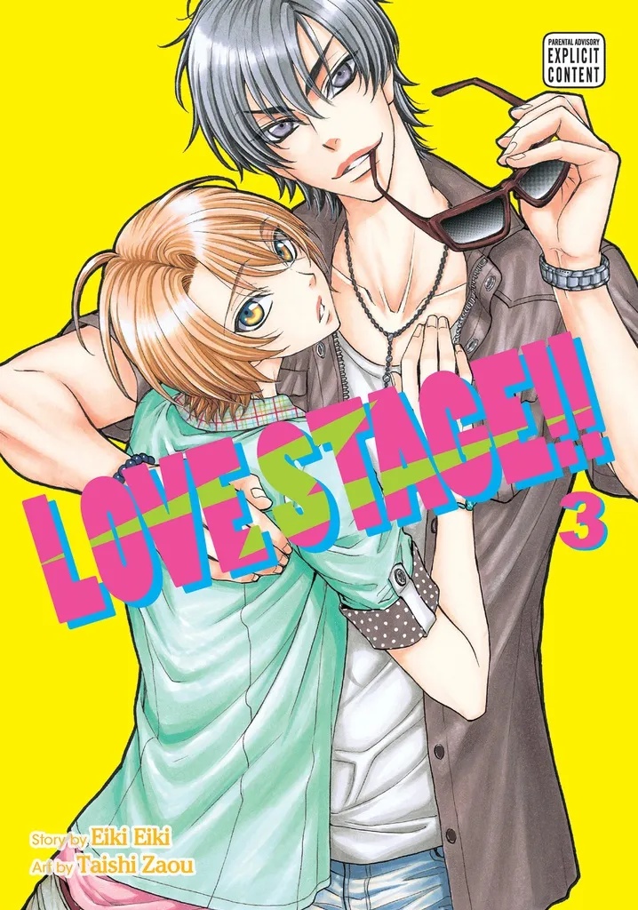 LOVE STAGE 3