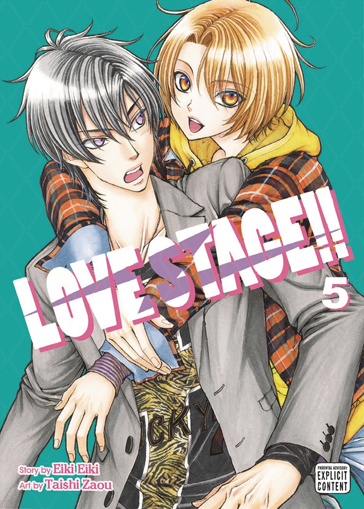 LOVE STAGE 5