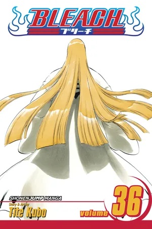 BLEACH 36