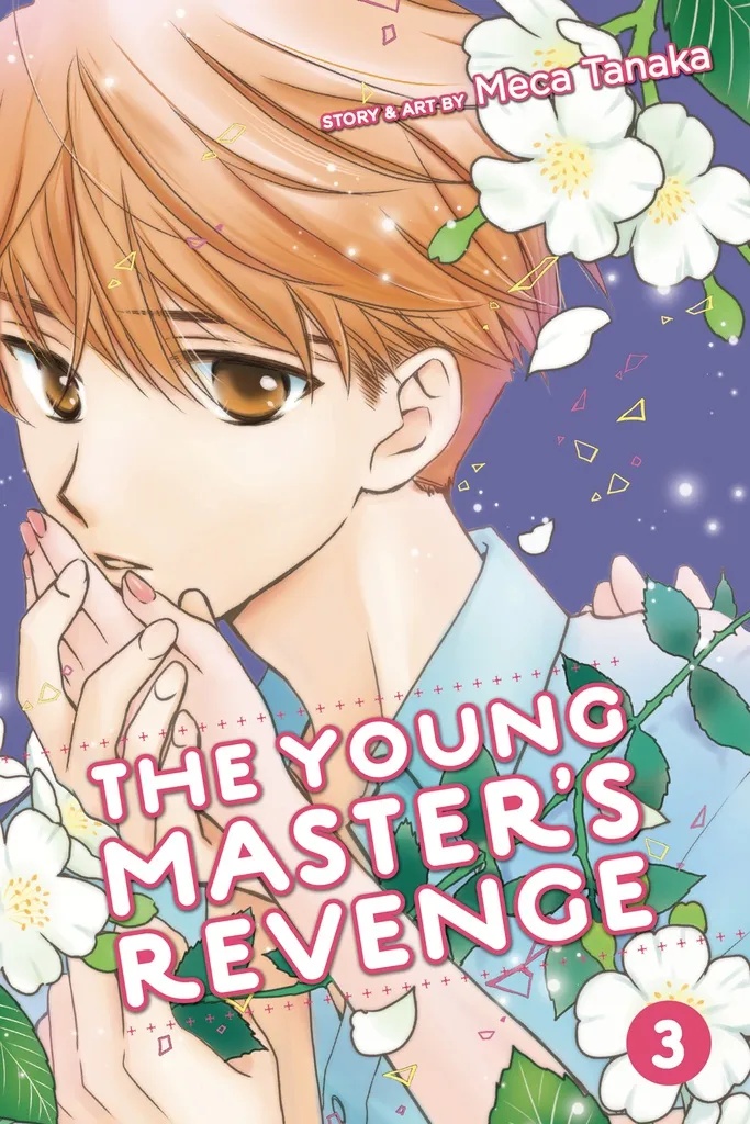 YOUNG MASTERS REVENGE 3