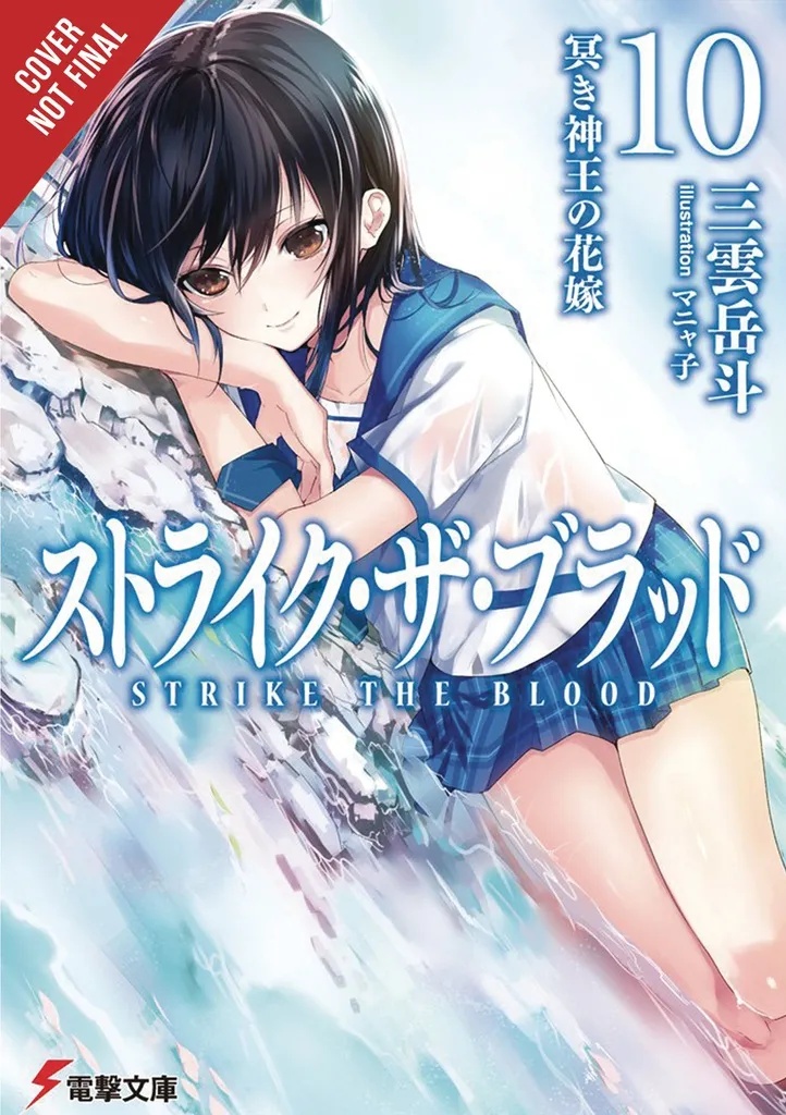 STRIKE THE BLOOD LIGHT NOVEL 10