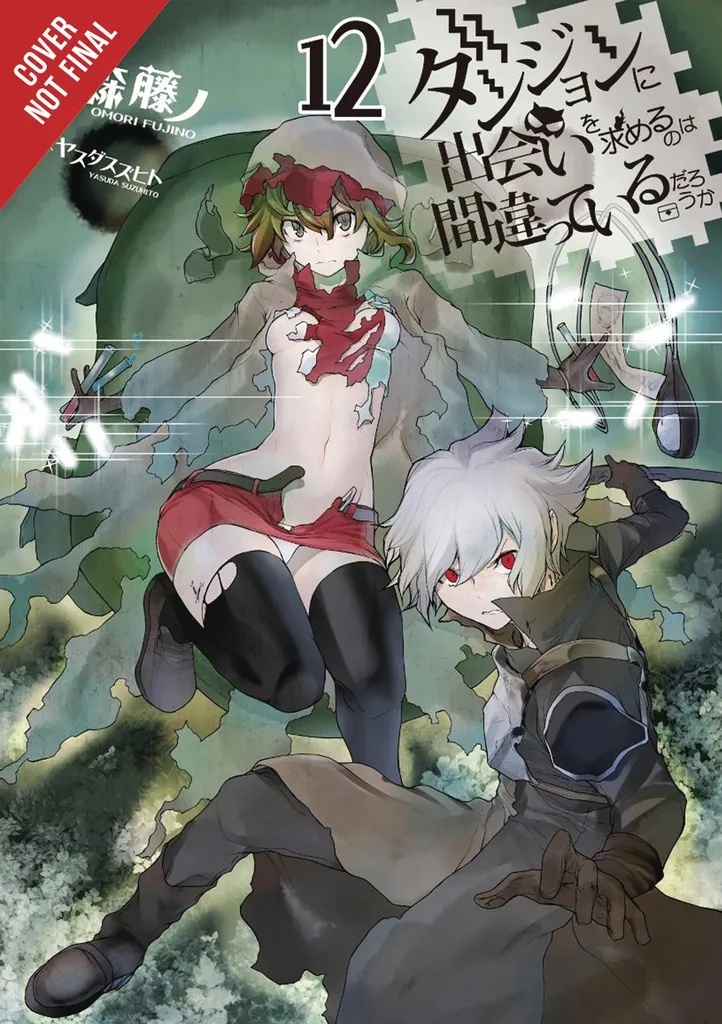 IS WRONG PICK UP GIRLS DUNGEON NOVEL 12