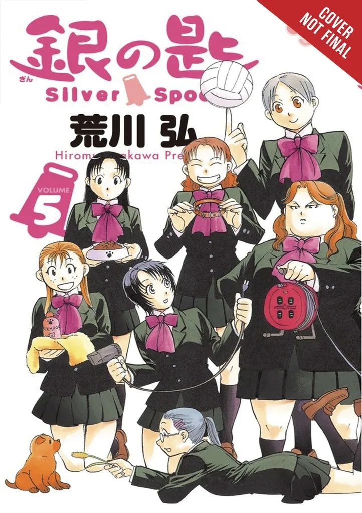 SILVER SPOON 5