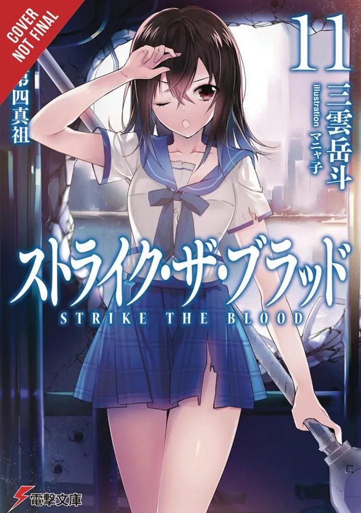 STRIKE THE BLOOD LIGHT NOVEL 11