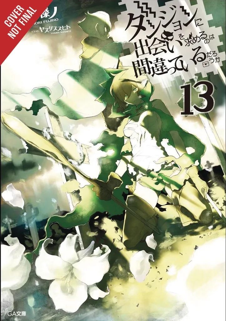 IS WRONG PICK UP GIRLS DUNGEON NOVEL 13