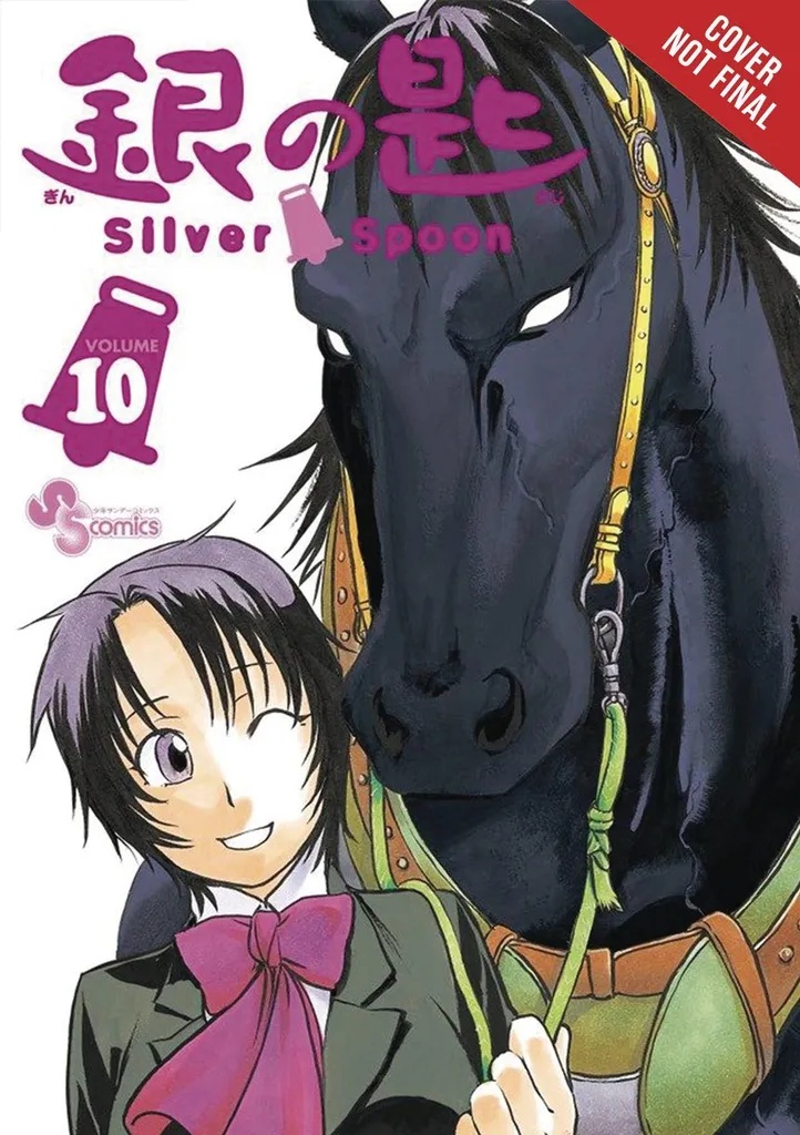 SILVER SPOON 10