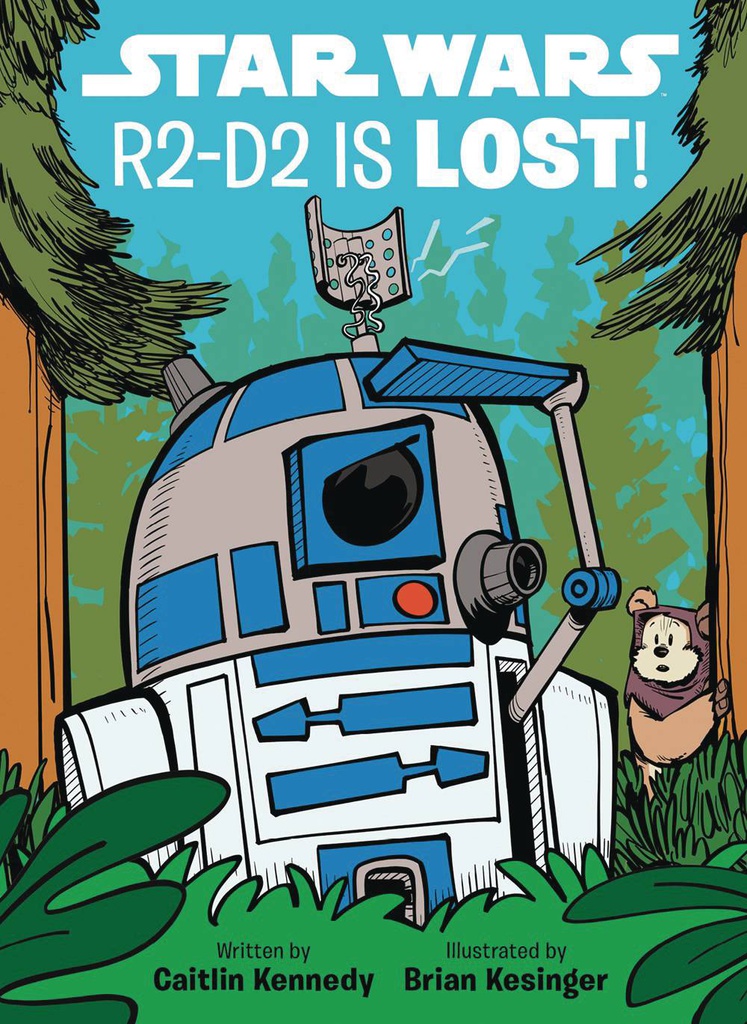 STAR WARS R2-D2 IS LOST