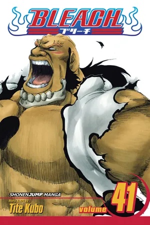 BLEACH 41