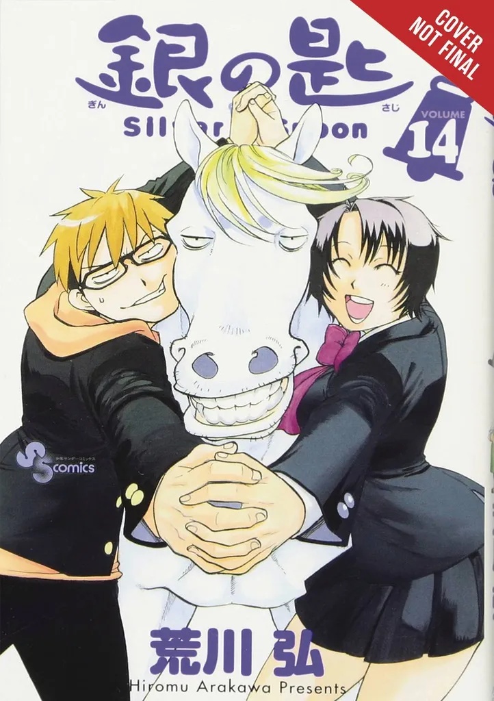 SILVER SPOON 14