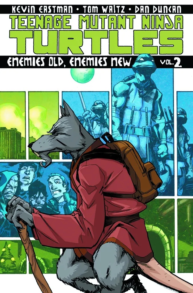 TEENAGE MUTANT NINJA TURTLES ONGOING 2