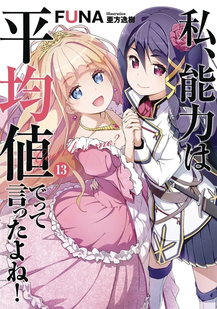DIDN`T I SAY MAKE ABILITIES AVERAGE NOVEL 13